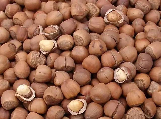 哈尔滨旅游带什么特产给朋友,来哈尔滨带回去什么礼物比较好