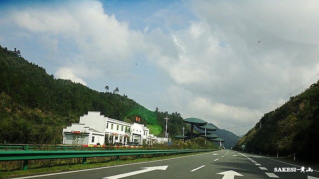 金毛萨克斯,金毛挑战全部视频