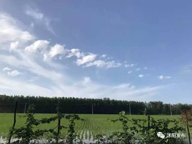 喏，送你一抹“沭阳蓝”……