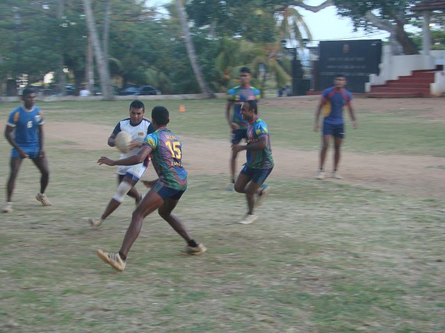 在斯里兰卡旅游必做的10件事,在斯里兰卡的难忘旅行经历