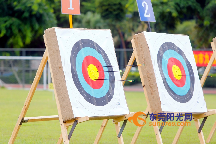 东莞第九届运动会,第九届东莞市市运会