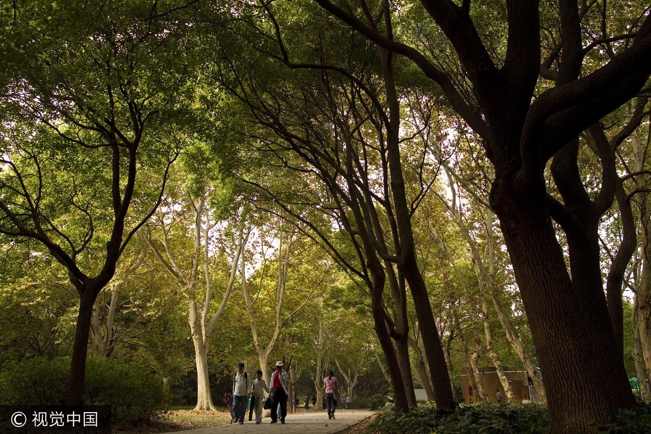 上海乘凉哪里好玩,上海周末乘凉地点排名前十