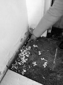 交房开始外墙渗水一直到5年,交房半年房子漏水