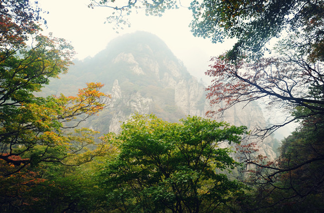 老君山仙境高清图片,老君山似天上宫阙