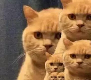 护肤品怎么用最省钱呢,护肤品别乱跟风6个误区需要避免