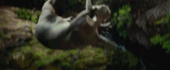 奉俊昊电影作品推荐,奉俊昊喜欢看的电影