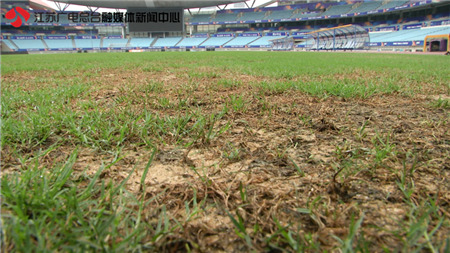 南京奥体中心是专业球场吗,南京奥体中心体育场为啥横开