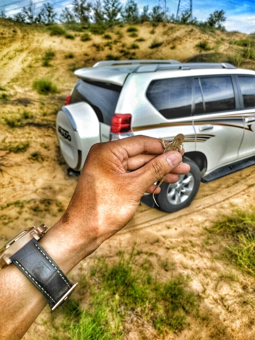 背着媳妇花30万买了台二手普拉多豁沙子,差点没被骂死!