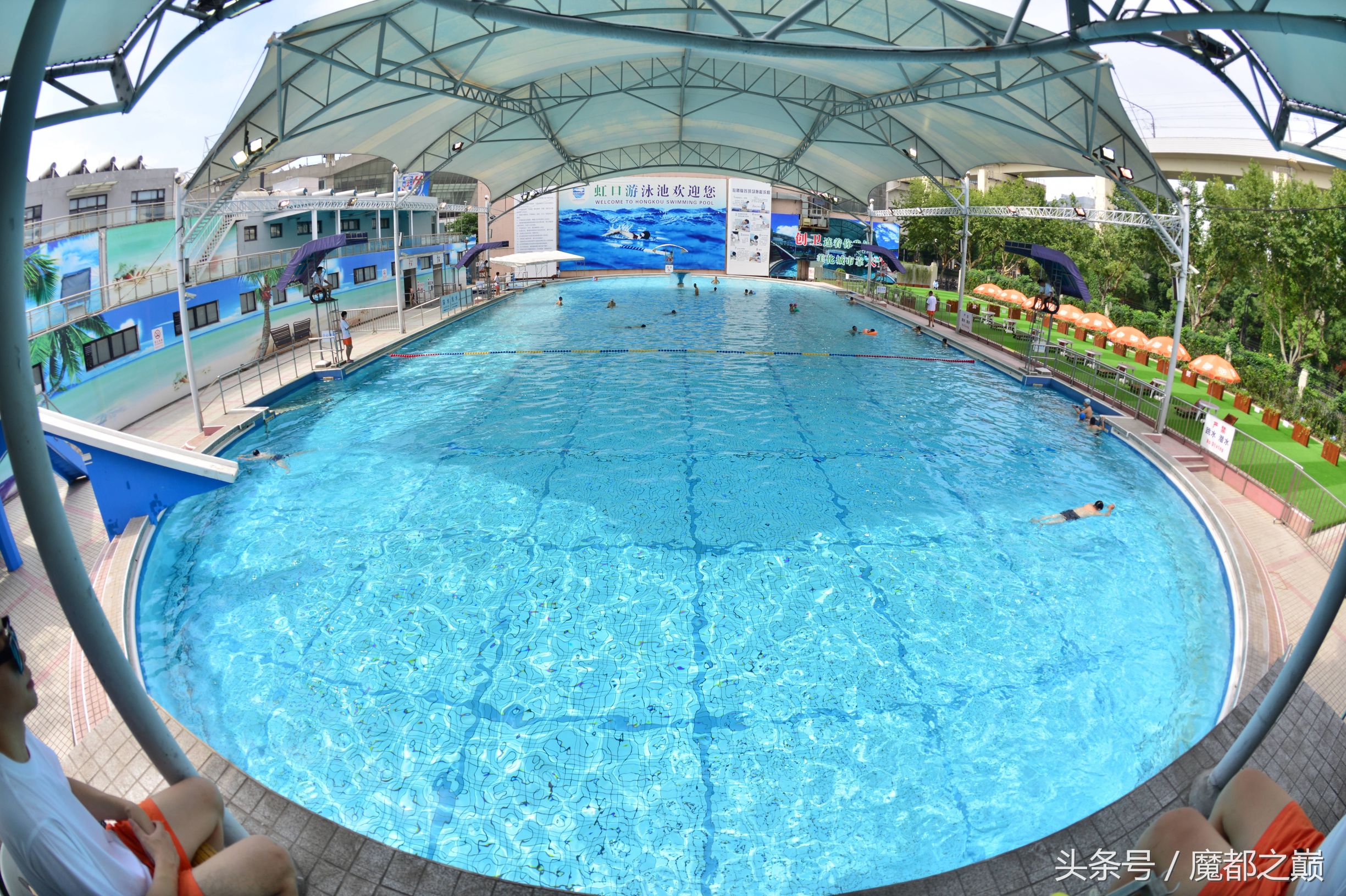 上海经典游泳池,上海最早游泳馆都是满满的回忆