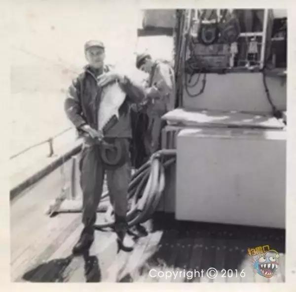 金枪鱼一般吃什么,金枪鱼要怎么吃才好吃