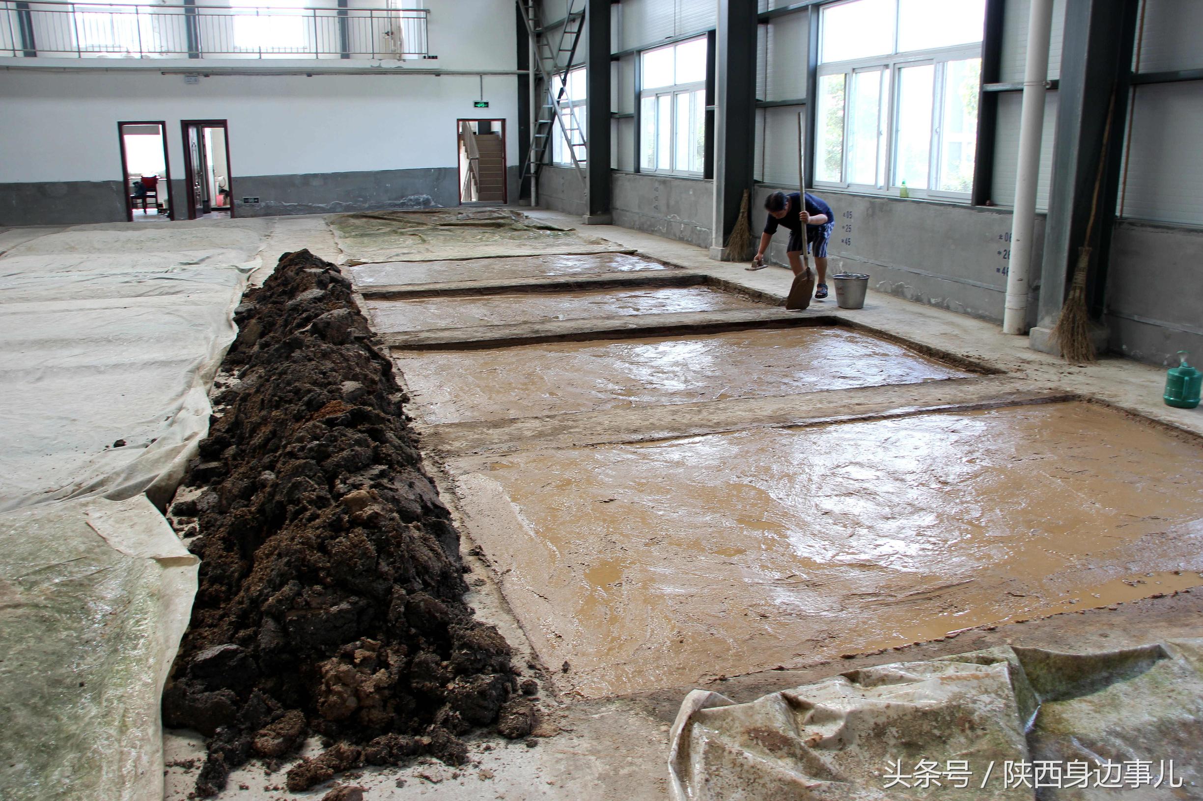 洋县秦洋长生酒业谢村黄酒,洋县秦洋长生酒业抖音号