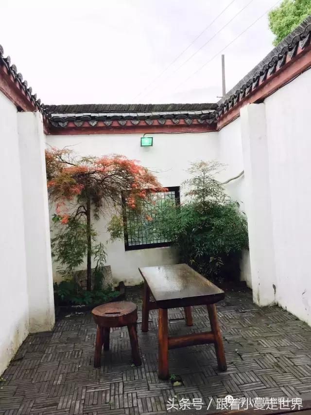 高淳去南京玩,高淳看荷花