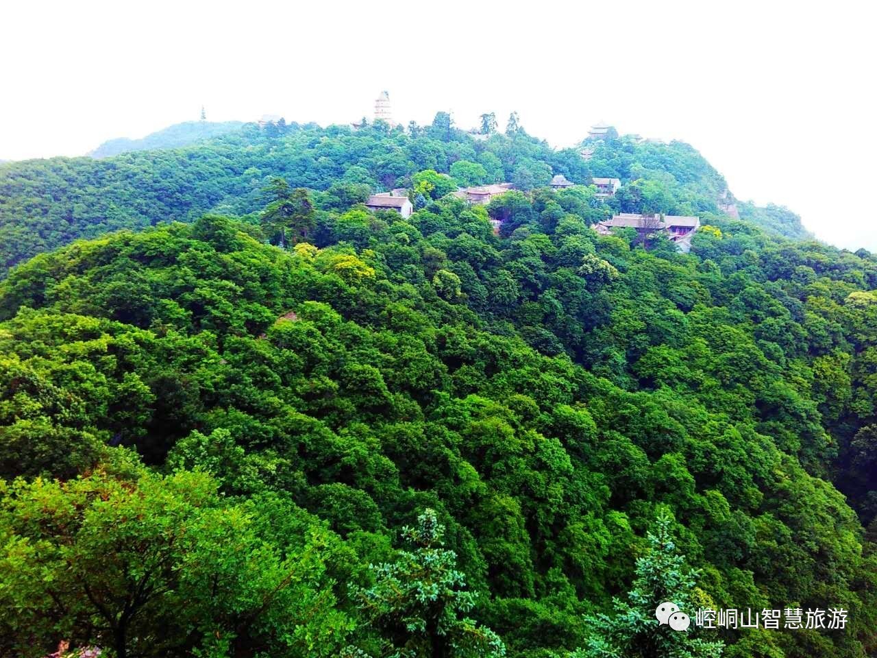 平凉真的凉吗,平凉为什么这么冷