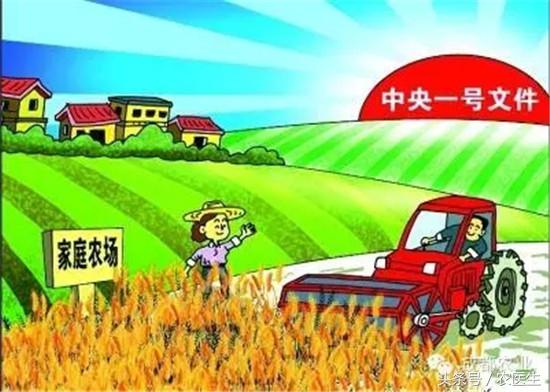 农业种植什么项目前景好挣钱多,农业不赚钱为什么还有人做