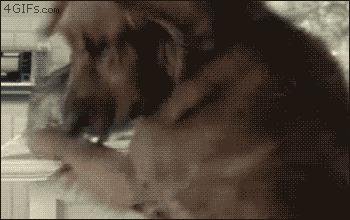 姹槦浜烘槸蹇冩満鐙楀悧,涓轰粈涔堟豹鏄熶汉閲嶆儏閲嶄箟