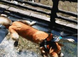 隔壁的wife超好,用起来真爽!