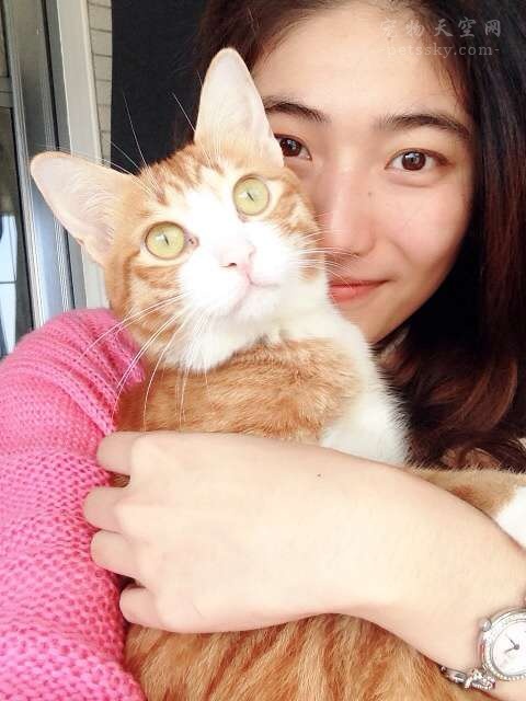 猫踩奶科普,猫在主人身上踩奶是什么意思