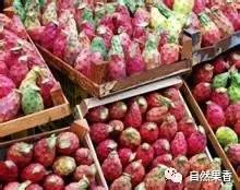 你不知道的仙剑三花絮,你不知道的仙品