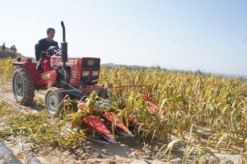 安塞读本：新农民新农村新希望——追赶超越看安塞之新型职业农民篇