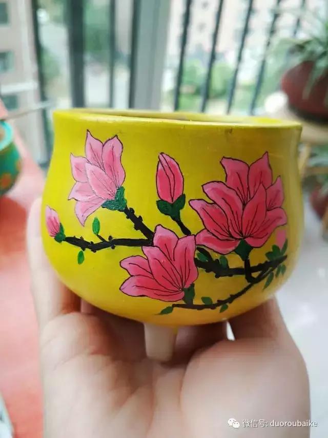 遇见多肉作品,和多肉邂逅的时光