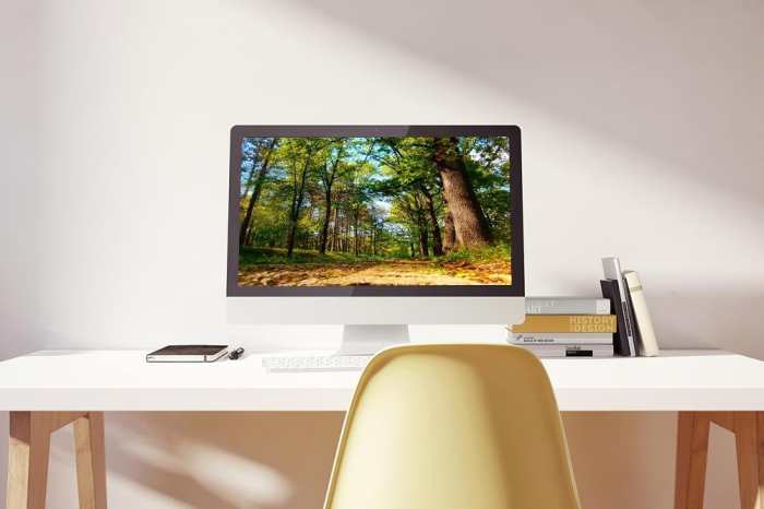 清凉一夏区域游戏名称及玩法,清凉一夏怎么玩