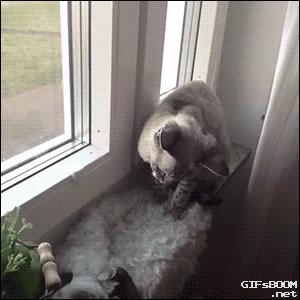 三人行必有我师其二,三人行必有我师2