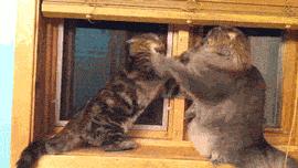 三人行必有我师其二,三人行必有我师2