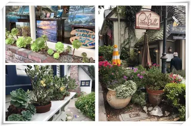 美西景点,美西游玩