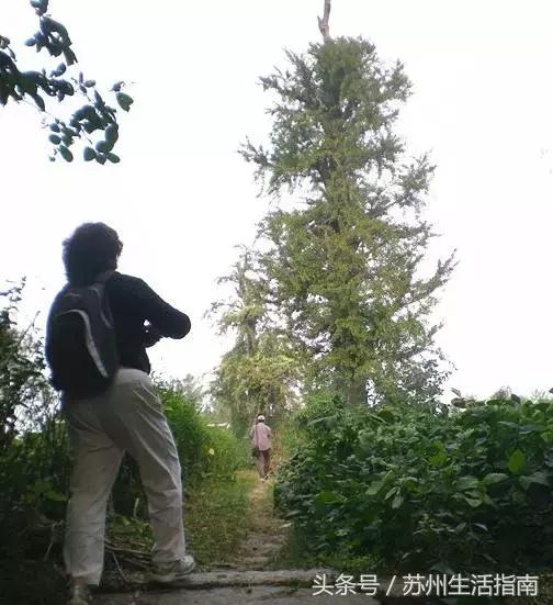 车坊，遗忘的边缘！