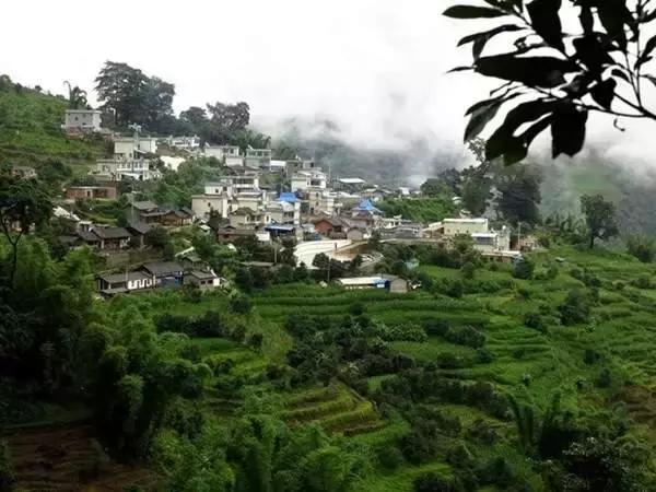 冰岛普洱茶言过其实,冰岛十大怪事件