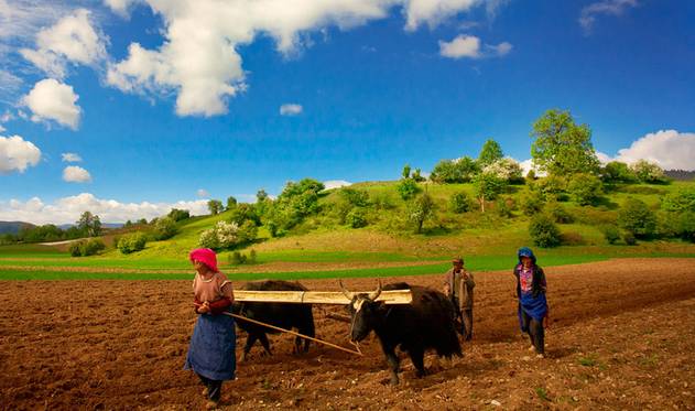云南旅游全攻略自由行美食,别再问攻略
