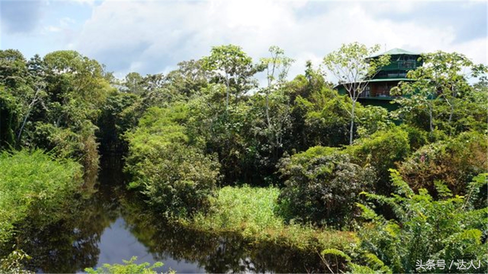 达人J：巴西的盛宴