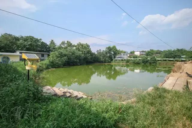 金堂春游好去处,金堂附近玩水游乐场