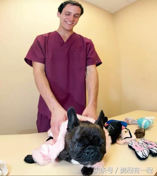 王思聪可以带狗上飞机吗 (王思聪飞机可以带狗吗)