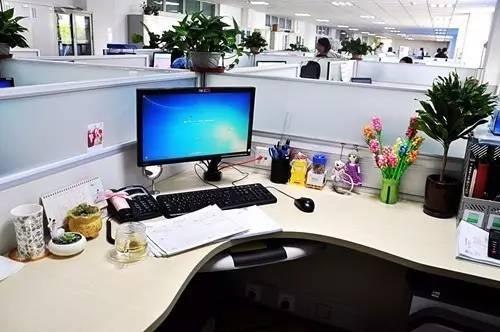 什么？泰达的办公空间都这么美？哪个是你心中最爱！