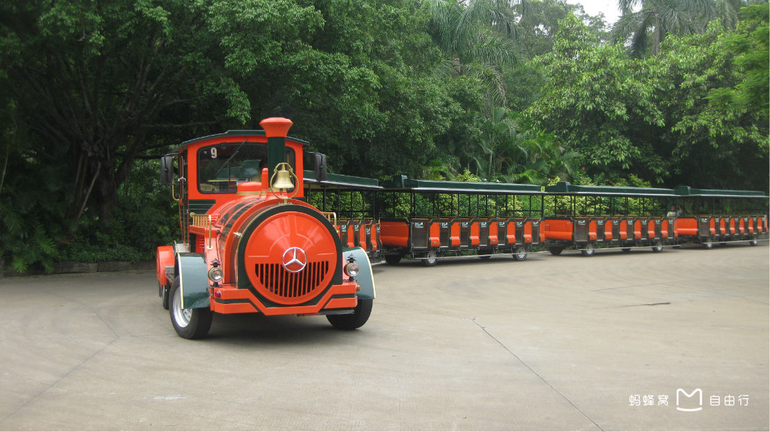长隆野生动物世界自驾车,长隆野生动物世界免票吗