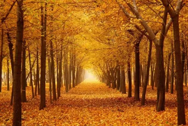 重磅！明天起，北京人要让全世界羡慕！