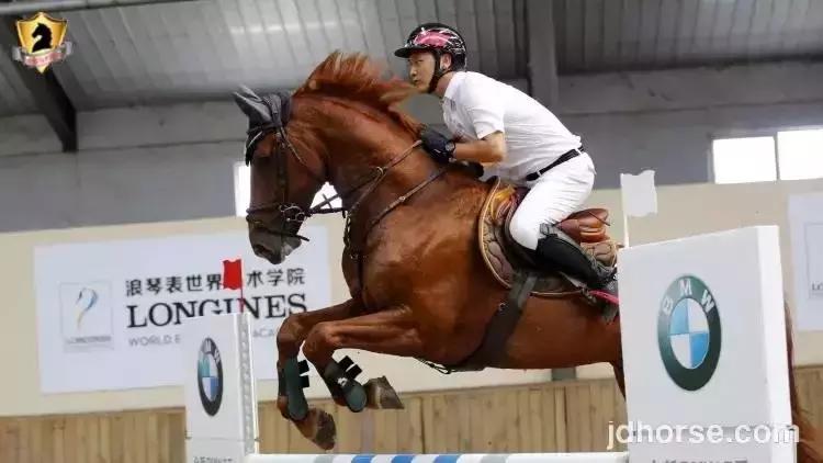 马术联赛总决赛,2019马术比赛鸟巢之路