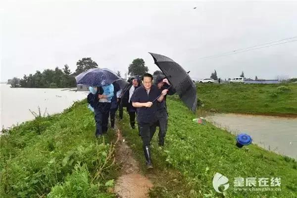 长沙洪水纪实,长沙17年洪水简介