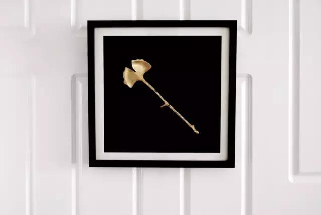 满心欢喜地等了这个快递整整1个月，却在拆开包装的瞬间傻了眼