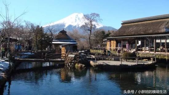 韩国免税店现在的状况,韩国免税店的真实现状