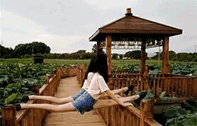 媳妇把酒瓶子放下，别玩了