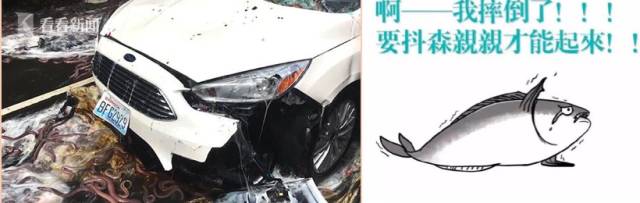 三分钟法治新闻全知道,法治三分钟警方回应