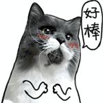 爱探险的朵拉特辑来自世界各地,爱探险的朵拉适合几岁孩子看