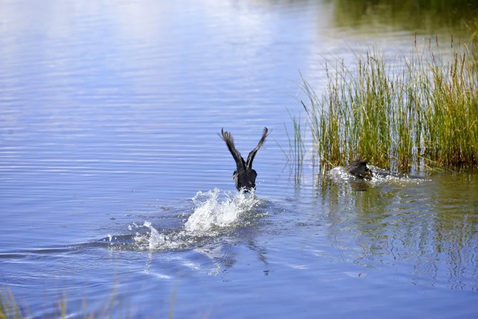 成都热天去哪里旅游最好,成都这么热的天气可以去哪里玩