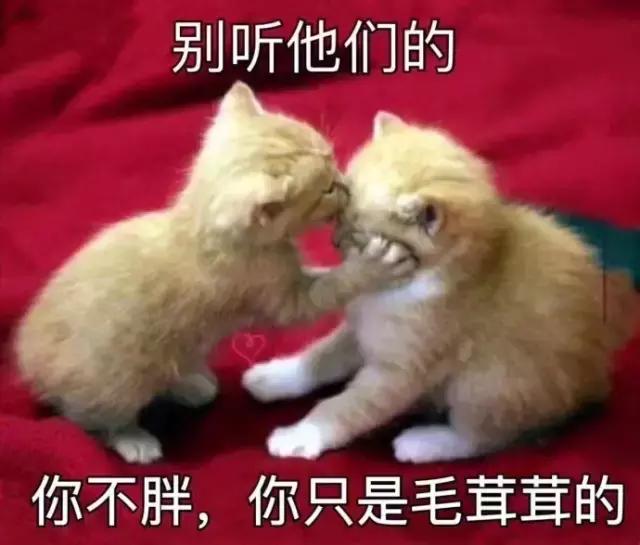 高温天气这几件事别做,高温天气做事