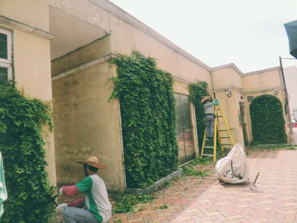 广东珠海闺蜜一日游,珠海闺蜜之旅