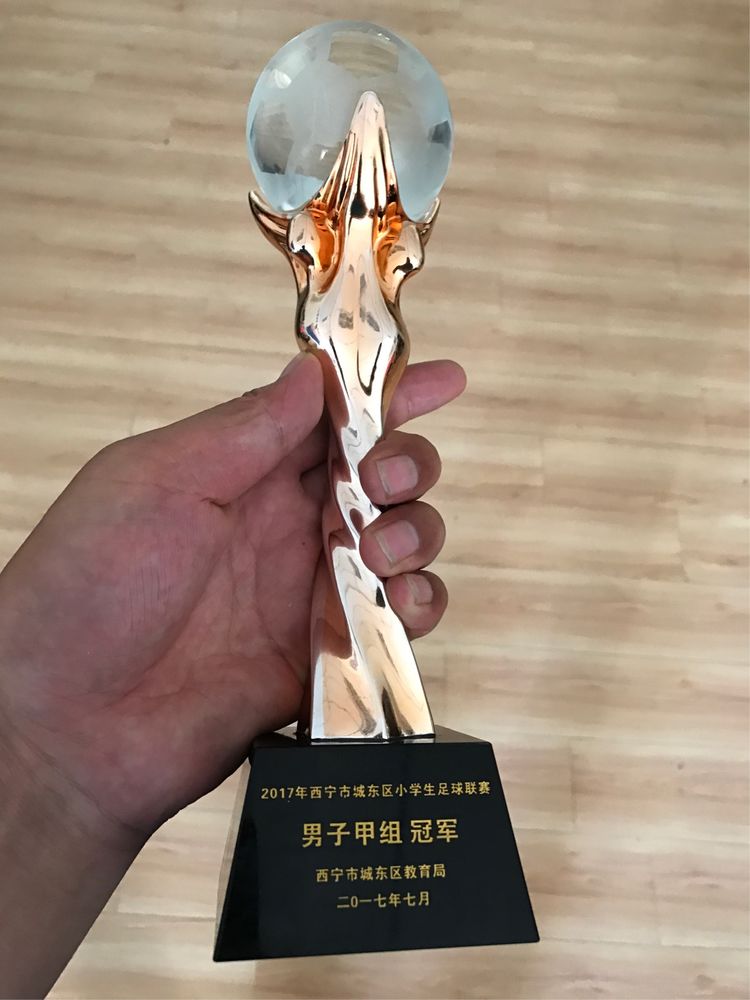 西宁小学足球比赛排名,西宁足球比赛小学生