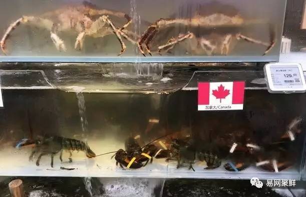 三伏天适合吃什么海鲜,三伏天能吃什么海鲜