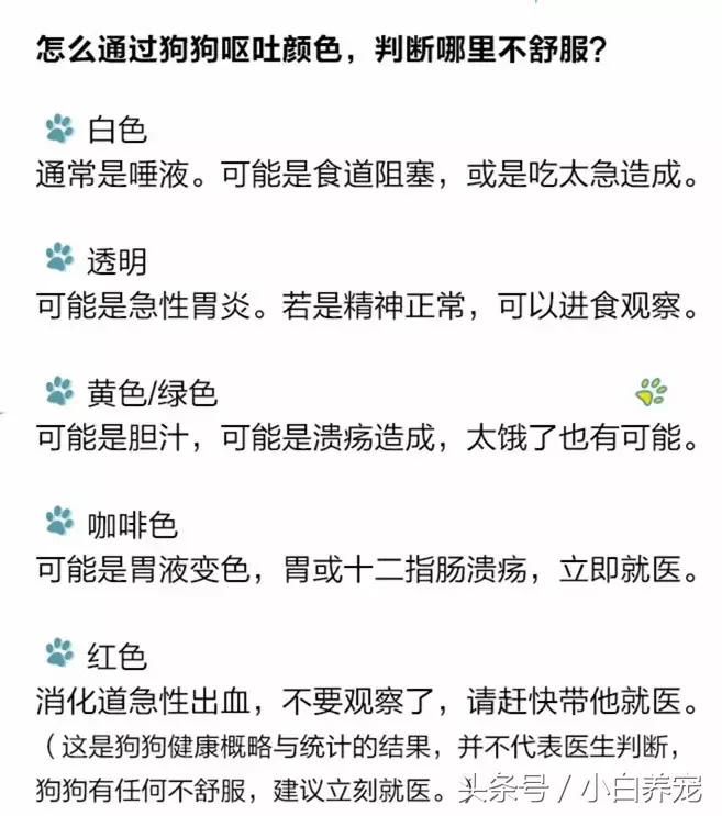 夏季狗狗呕吐,狗狗呕吐的原因及处理方法